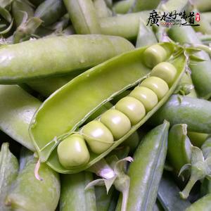本地新鲜豌豆荚 湖北随州广水当季农家自种蔬菜 食用农产品一斤装